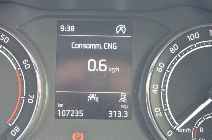 SKODA Kamiq 1.0 TGI Ambition GNC - Imagen 14