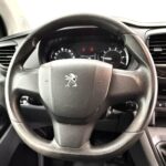 PUGEOT EXPERT (0337LSJ) 12